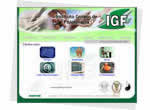 Instituto Goiano de Fisioterapia